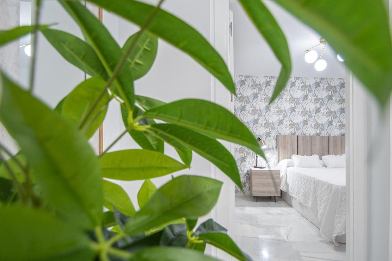 Apartamento La Magnolia De 카디스 외부 사진